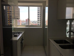 The Regency At Tiong Bahru (D3), Condominium #623491091